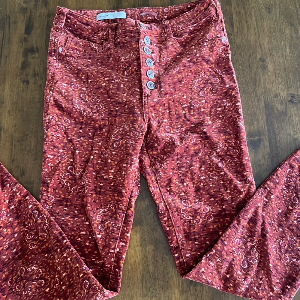 Anthropologie Pilcro Printed Pants